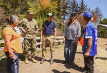 BULNES RECIBE A AUTORIDADES NACIONALES PARA GESTIONAR RECUPERACIÓN TRAS INCENDIOS