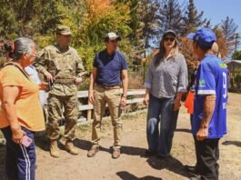 BULNES RECIBE A AUTORIDADES NACIONALES PARA GESTIONAR RECUPERACIÓN TRAS INCENDIOS